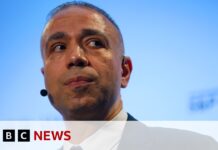 COP29 chief exec filmed promoting fossil fuel deals, 8 November 2024