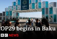 COP29: World leaders meet in Azerbaijan as UN climate talks begin, 11 November 2024