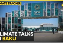 COP29 In Baku: Nations Approve New UN Rules on Carbon Markets at COP29, 12 November 2024