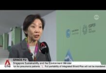COP29: A lot of progress made on Article 6 of Paris Agreement, says Grace Fu (Singapore),