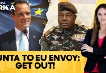 EU Recalls Envoy From Niger after Junta Accuses It of Aid Mismanagement, 25 November 2024