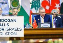 Erdogan calls for Syrian reconstruction and Israel’s international isolation at D-8 summit, 20 December 2024
