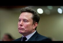 German government accuses Elon Musk of trying to influence upcoming election, 30 December 2024