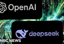 A.I. leaders say China may have copied U.S. technology, 30 January 2025