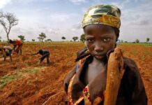 U.S. Africa Policy in a Second Trump Term, 30 January 2025