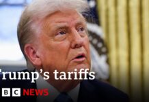 Canada and Mexico hit back as President Trump imposes huge tariffs, 2 February 2025
