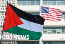 Egypt, Saudi Arabia reject Trump’s Gaza plan, 5 February 2025