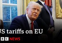 EU facing potential tariffs from the US, 5 February 2025