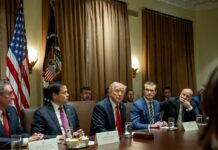 President Trump Hosts First Cabinet Meeting, 26 February 2025