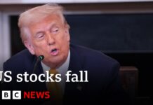 US stocks plunge as fears grow over economic slowdown, 10 March 2025