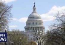 Senate subcommittee holds hearing on big tech with Y Combinator CEO and others, 1 April 2025