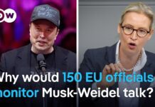 Elon Musk and AfD’s Alice Weidel talk on X | DW Analysis, 10 January 2024