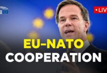 E.P. Discussion with new NATO Secretary General, Mark Rutte, 13 January 2025
