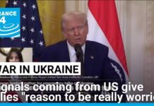 Ukraine and European allies have reasons to be worried about peace deal, expert says, 17 February 2025