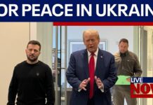 Ukraine’s President Zelenskyy ‘ready’ to resign after Trump talks, 23 February 2025