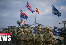 NATO members hold combat exercises in Romania, 20 February 2025