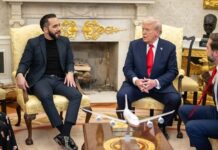 President Trump Participates in a Bilateral Meeting with the President of El Salvador, 14 April 2025