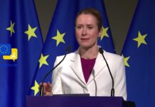 Kaja Kallas’ Urgent Call: Combating Foreign Manipulation Threatening EU Democracy, 19 March 2025
