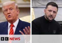 Meeting in London after Donald Trump suggests US could run Ukraine’s nuclear power plants, 20 March 2025