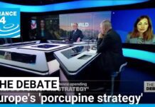 Europe’s ‘porcupine strategy’: EU leaders welcome plan to boost defence spending, 20 March 2025