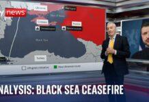 Black Sea ceasefire: Who benefits more, Zelenskyy or Putin? 25 March 2025