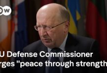 Does the EU need its own defense structures? – Andrius Kubilius, 29 March 2025