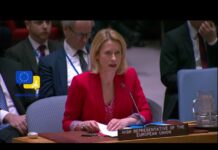 Kaja Kallas’ Urgent Call at UN Security Council: Defending Peace & Global Order, 11 March 2025
