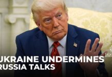 Trump accuses Ukraine’s Zelenskyy of harming Russia negotiations, 24 April 2025