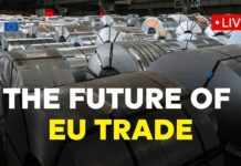 EU response to US trade measures and new global opportunities, 6 May 2025