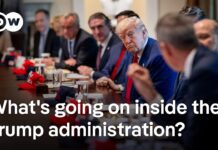 Cabinet shake-up in the US: Is the center of power shifting? 2 May 2025