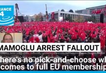 ‘Not just a strategic partner: Europe needs a Turkey that upholds democracy, honors its commitments’,11 April 2025