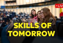 E.P. How can the EU help people develop the skills they need for the future?, 13 June 2025