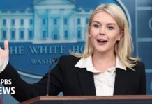 White House says Israel accepted new U.S. proposal for temporary Gaza ceasefire, 29 May 2025