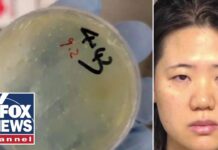 Third Chinese national accused of smuggling bio weapons in latest threat to US security, 10 June 2025