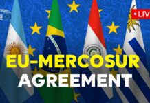 E. P.: The potential of a bi-regional agreement, 24 June 2025