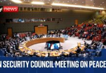 UN Security Council hosts meeting on peace and security, 19 June 2025