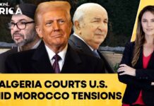 Algeria Deepens Energy Ties with US amid Western Sahara Dispute, 30 June 2025