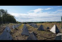 Russia gathers 50,000 troops at Ukrainian border near Sumy, Zelenskyy says, 28 May 2025