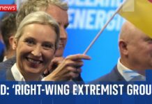 AfD party classified ‘extremist entity’ by Germany’s domestic intelligence agency, 2 May 2025