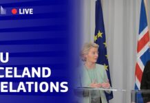 EU-Iceland Relations: talks on a Security and Defence Partnership, 17 July 2025