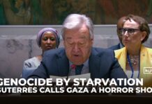 ‘Starvation is knocking on every door’: UN chief says situation in Gaza is ‘without parallel’ 22 July 2025