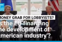 ‘EU has a lot to lose’: US-EU trade deal with Trump counter to ‘what EU should be standing for’ 28 July 2025