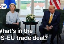 EU-US trade deal ‘replaces’ EU autonomy with ‘vulnerability and an over-reliance on the US’, 29 July 2025