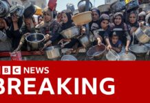 Israel says it will open Gaza aid corridors after international pressure, 27 July 2025