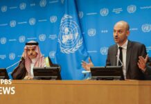 Second day of UN meeting on ‘Question of Palestine’ and two-state solution with Israel, 29 July 2025