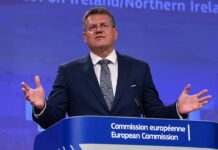EU Trade Chief Holds Press Conference on US–EU Deal, 28 July 2025