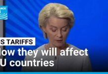 Impact of US tariffs varies across European Union, 28 July 2025