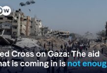 Netanyahu claims no one in Gaza is starving, 29 July 2025