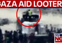 Hamas loots Gaza aid, Israel says, 29 July 2025