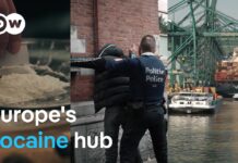 How Belgium became a hotspot for cocaine trafficking, 2 August 2025